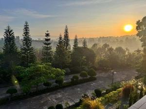 Phong cảnh thiên nhiên gần nhà nghỉ dưỡng