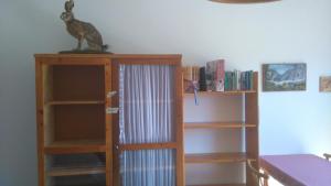 ein Bücherregal mit einem Kaninchen darüber in der Unterkunft Good Vintage Apartment in Bad Mitterndorf