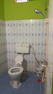 a bathroom with a toilet and a shower at Kiran River View Guest House in Hampi