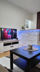 TV a/nebo společenská místnost v ubytování Apartman Anika