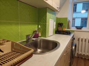 a kitchen with a stainless steel sink and green tiles at Comfy apartment with 2 bedrooms in Riga +3 photos