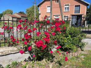 a bunch of red flowers in front of a fence at Les Croisés&Spa in Azannes-et-Soumazannes