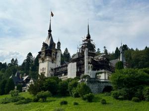 a castle on top of a hill with trees at Apartament La poteca ursului in Buşteni