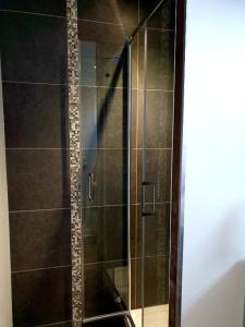 a shower with a glass door in a bathroom at Le Phoenix 449 , vue mer, 2 chambres in Arromanches-les-Bains +12 photos
