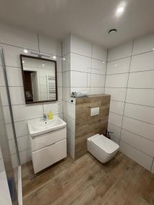 Ένα μπάνιο στο Apartmány Javorská