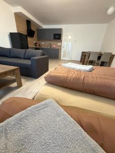 Χώρος καθιστικού στο Apartmány Javorská +20 φωτογραφίες