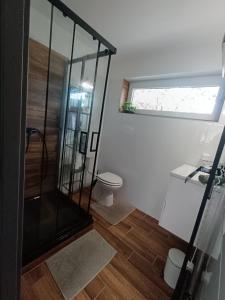 une salle de bain avec douche, toilettes et fenêtre dans l'établissement Pacsirta Vendégház, à Tass 2 autres photos