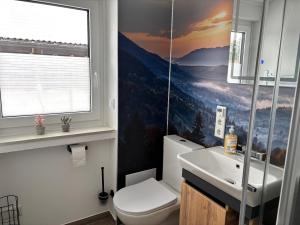 a bathroom with a toilet and a sink and a window at Berghütte Astenpanorama in Winterberg +35 photos