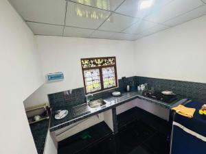 Η κουζίνα ή μικρή κουζίνα στο Island Roots +6 φωτογραφίες