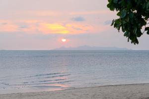 Příroda nedaleko vily + 54 fotografií