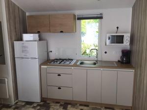eine kleine Küche mit Spüle und Kühlschrank in der Unterkunft Mobilhome Malaga Climatisé 32 in Saint-Martial-de-Nabirat