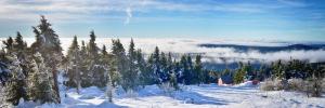 - une vue sur une montagne enneigée avec des arbres et des nuages dans l'établissement Erzgebirge Apartments Sehmatal, à Sehma