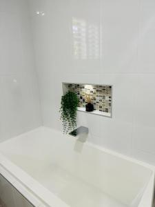 Fotografie z fotogalerie ubytování Southern Sky Villa v destinaci Ingleburn + 22 fotografií