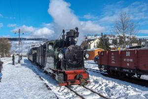 un train assis sur les pistes dans la neige dans l'établissement Erzgebirge Apartments Sehmatal, à Sehma