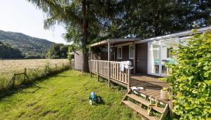 Příroda nedaleko kempu