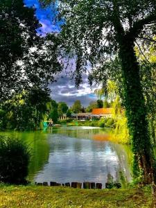 a view of a pond with trees and a building at ZEcamping 4 étoiles familial avec étang de pêche et piscine chauffée in La Haye-du-Puits +46 photos