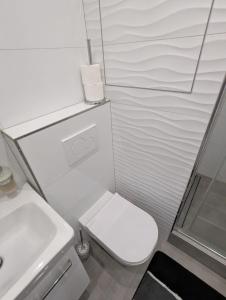 ein kleines Badezimmer mit Toilette und Waschbecken in der Unterkunft Apartmán Convent in Saar