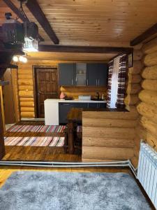 Η κουζίνα ή μικρή κουζίνα στο Лісовий котедж +5 φωτογραφίες