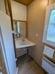 une salle de bain avec un lavabo et un miroir dans l'établissement VVF Sud Aveyron, à Brusque