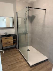 a shower with a glass door in a bathroom at Le Toit des Volcans - 8 couchages - Terrasse privée et Wifi in Clermont-Ferrand