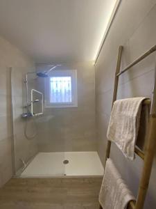 a bathroom with a shower and a window at Grenache rdc in Fosse +21 photos