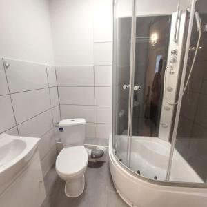 a bathroom with a toilet and a shower and a sink at Hotel Silonce Bilstein in Lennestadt