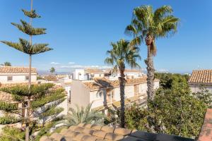 une vue depuis le toit d'un immeuble avec des palmiers dans l'établissement Manuel 217 en Gran Alacant, à Gran Alacant