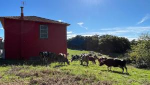Άλλα ζώα σε αυτή η παραθεριστική κατοικία ή στη γύρω περιοχή
