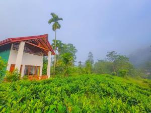 une maison au sommet d'une colline verdoyante avec un palmier dans l'établissement Sinharaja Rainforest Vibe, à Deniyaya