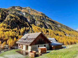 塞拉克Chalet prestige 14 pers au pied des pistes的以山为背景的建筑物 更多14张照片