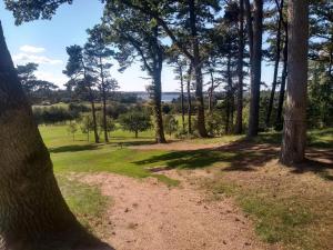 Příroda nedaleko prázdninového domu + 28 fotografií