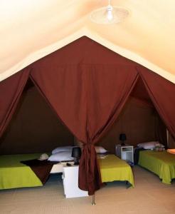 泰格拉Camping 4 étoiles - Piscine - eed0fi的红色帐篷内有两张床