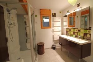 une salle de bain avec lavabo et douche dans l'établissement Le Chalet Vert entre nature et animations, à La Bresse 24 autres photos