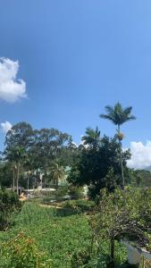 a view of a park with palm trees and bushes at Cityscape Bungalow in Bandarawela