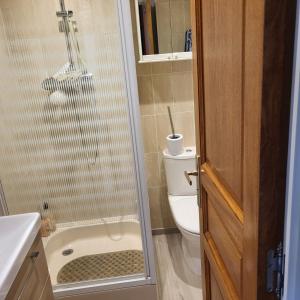 a bathroom with a toilet and a glass shower door at A la terrasse du val de vincelles in Nanteuil-lès-Meaux