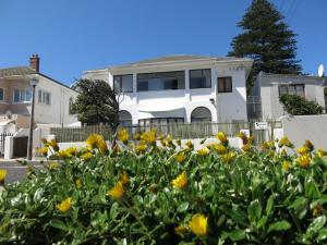 Сад в Muizenberg Sea Search Self Catering +13 фотографий
