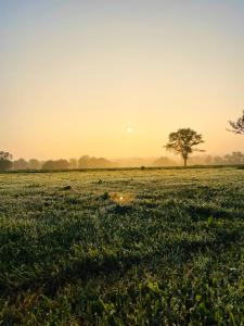 Příroda nedaleko penzionu + 7 fotografií
