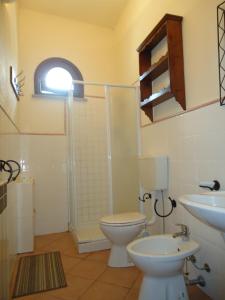 y baño con aseo, lavabo y ducha. en Casa Roffi Esposito, en Pieve di Santa Luce