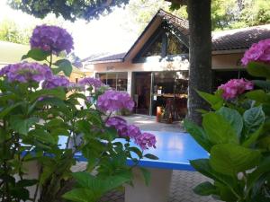eine blaue Bank vor einem Gebäude mit lila Blumen in der Unterkunft Chalet 3 étoiles - Piscine - ccaibfi in Saint-Jean-du-Gard