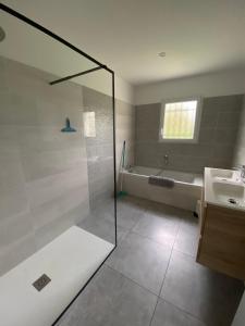 a bathroom with a shower and a tub and a sink at Le gîte des Acacias in Montech +27 photos