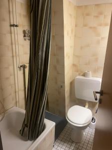 a bathroom with a toilet and a shower curtain at LIVI Hostel und Pension in Dortmund