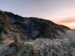 ein Strand mit Sand und Gras darauf in der Unterkunft 6 person holiday home in Hirtshals-By Traum in Hirtshals