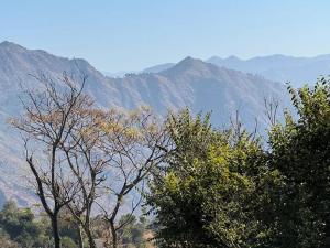 SaurにあるStay Enjoyの山並木