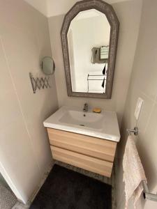 une salle de bain avec un lavabo et un miroir dans l'établissement Le Pigeonnier - TG2260, à Nègrepelisse