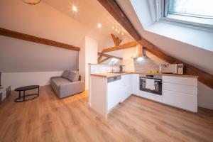 Kuchyň nebo kuchyňský kout v ubytování Super Appartement Near Basel 8 4 personnes