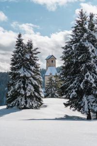 Το Herrenhaus am Grübl τον χειμώνα