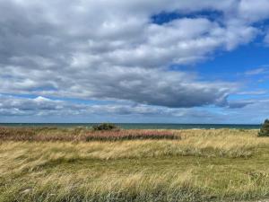 a field of tall grass with the ocean in the background at 16 person holiday home in Glesborg in Fjellerup Strand