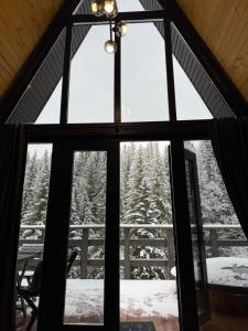 Το Лісовий Трикутник τον χειμώνα