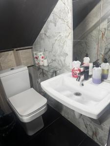 ein Badezimmer mit einer weißen Toilette und einem Waschbecken in der Unterkunft Central location in Chişinău