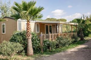 mały domek z palmą przed nim w obiekcie Camping 3 étoiles - Parc aquatique - eecehf w Fréjus